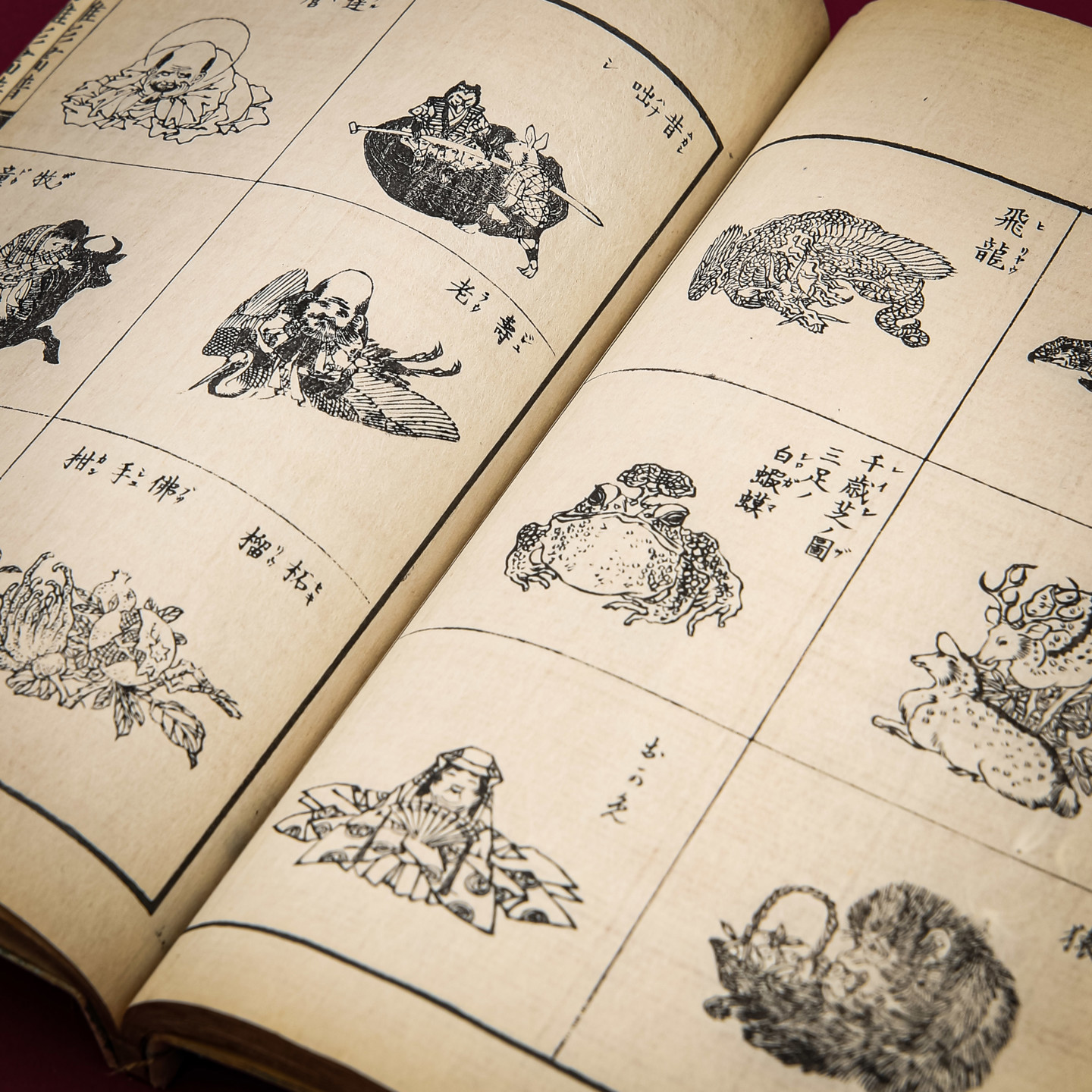 Illustrations Header Image (2)