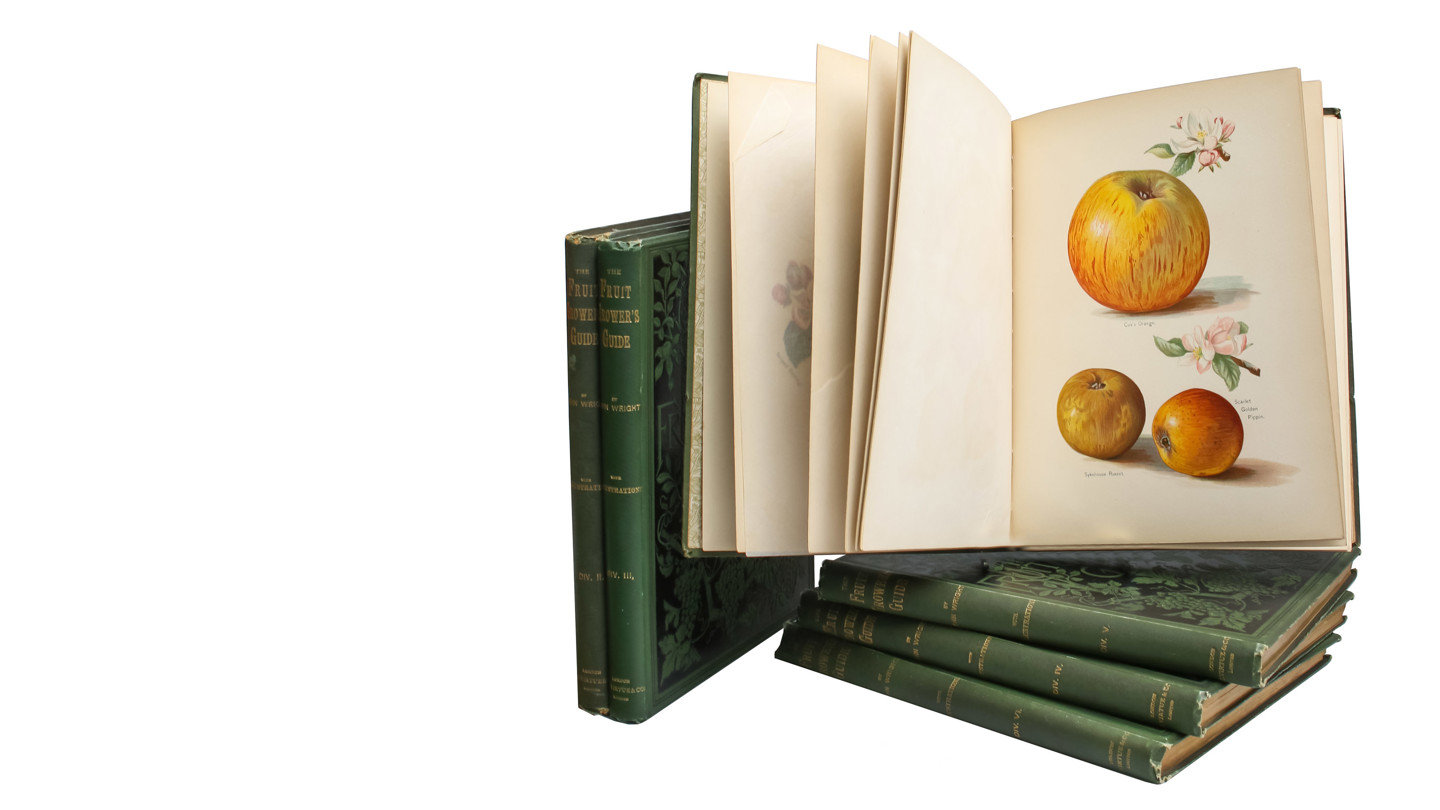 Books Banner