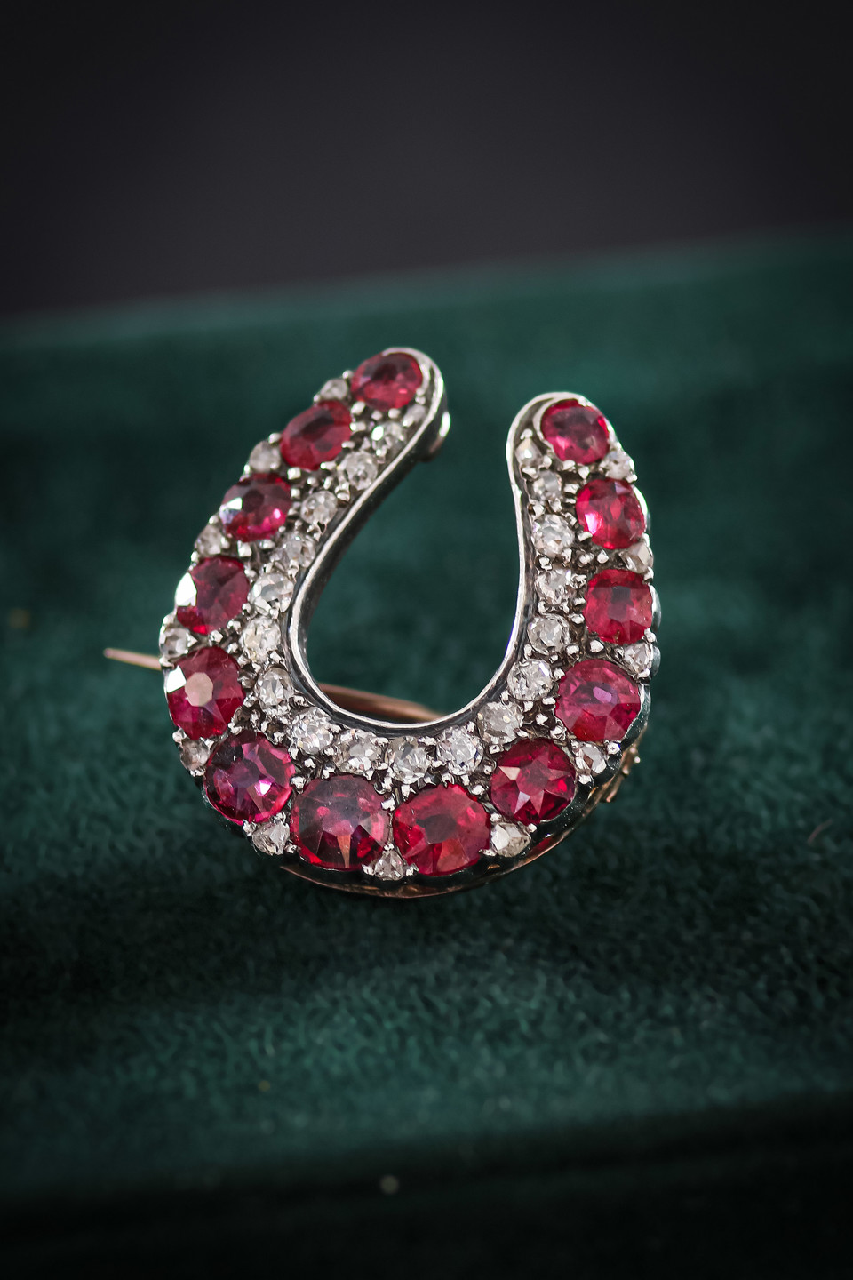 Horseshoe Brooch