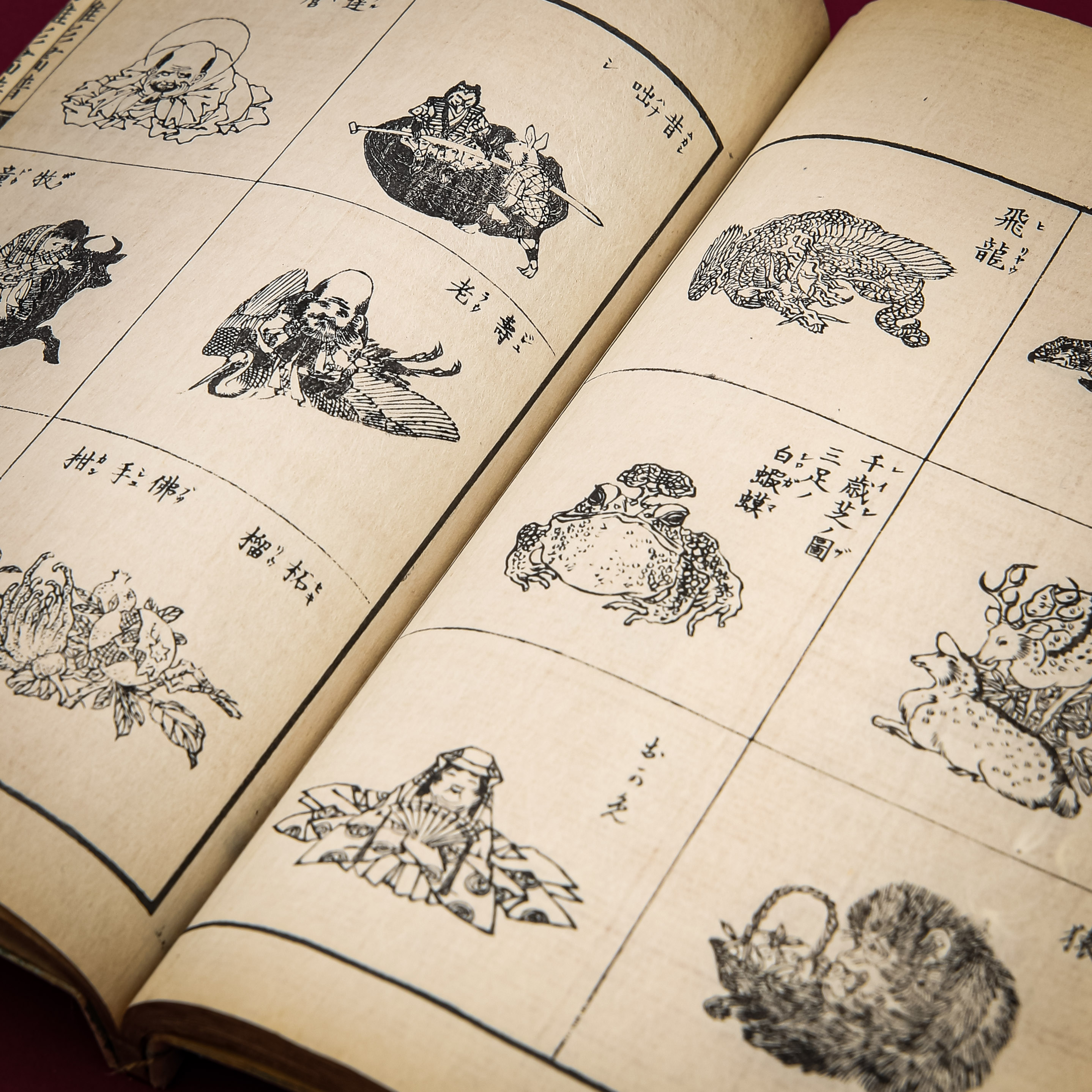 Illustrations Header Image (1)