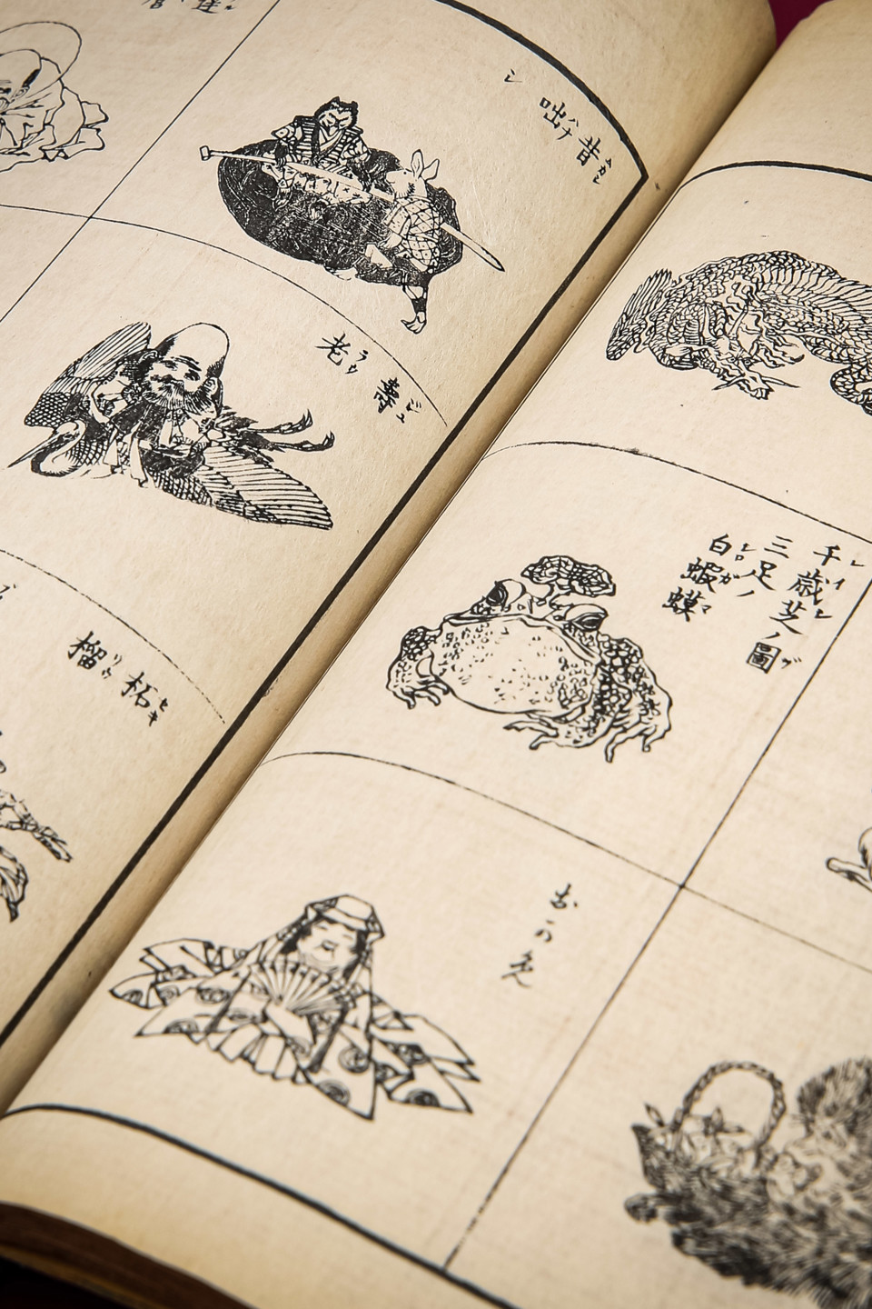 Illustrations Header Image (1)